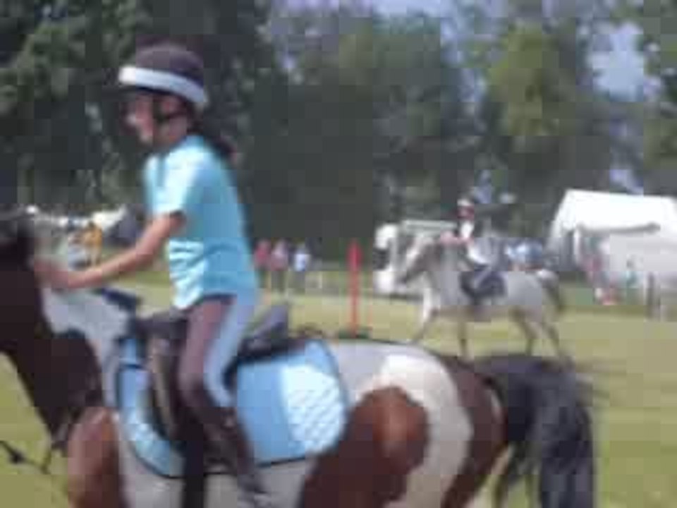 Facteur le 1 juin 2009 pony games