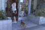 Sophia Bush Walks New Dog On Third Street