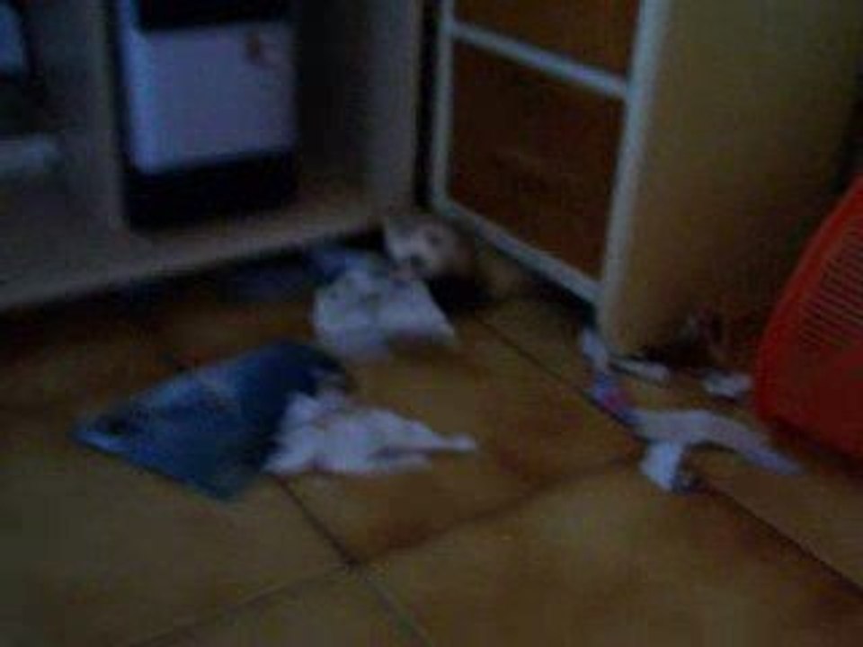 Le recycleur de papier