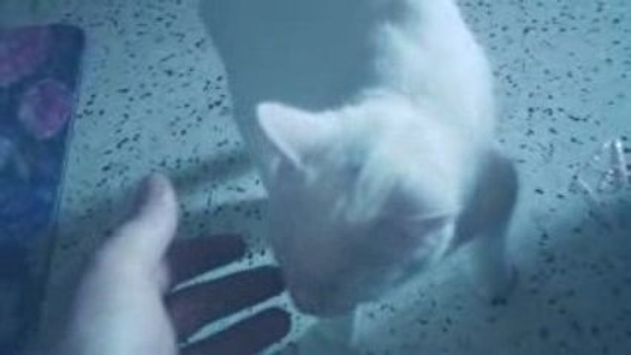 Video vanille
