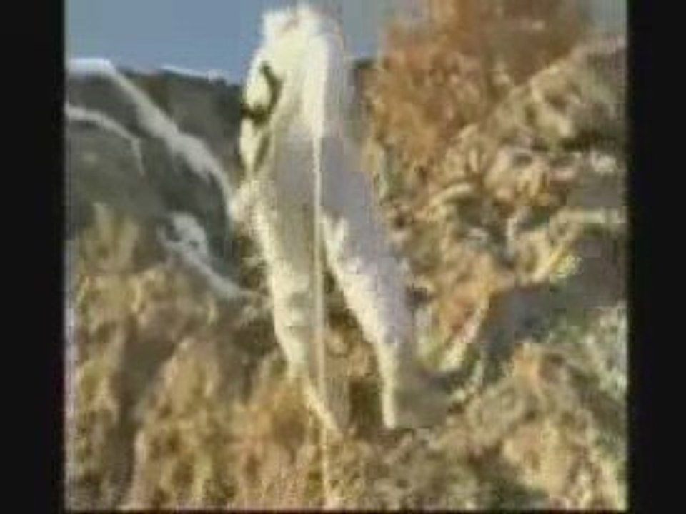 4 KOMANDO TUGAYI TANITIM