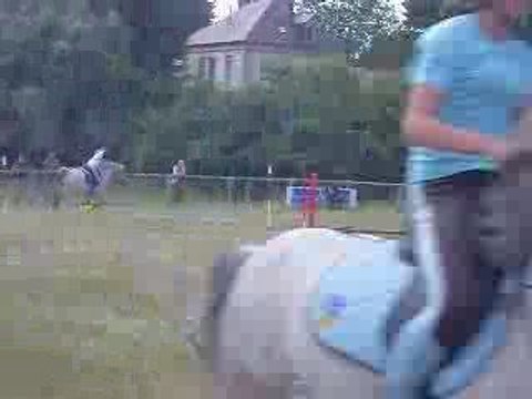 Carton le 1 juin 2009 pony games