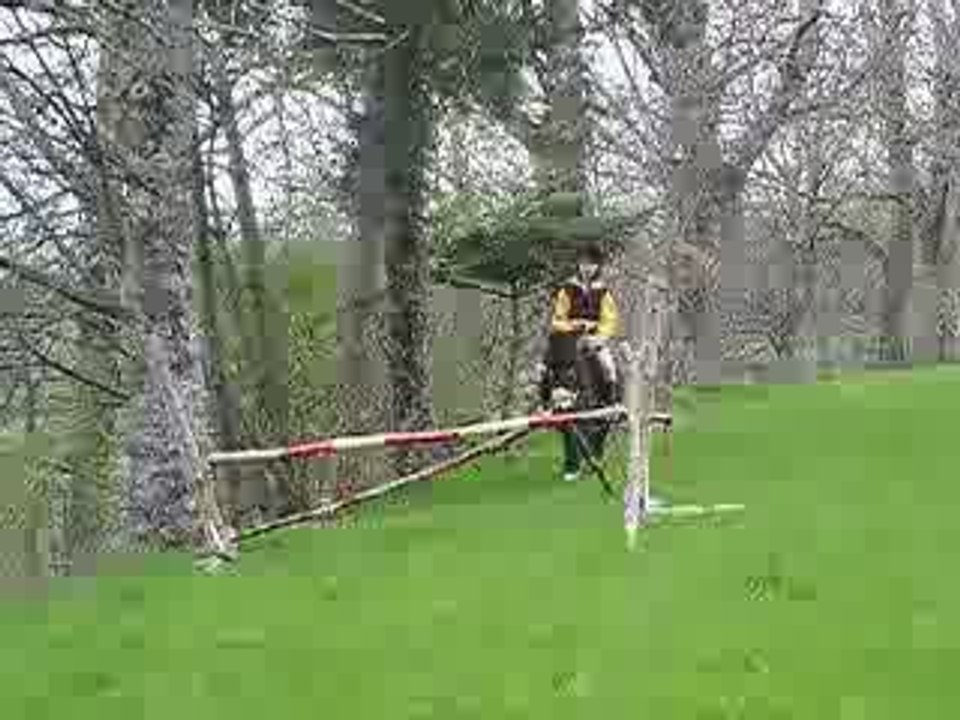 âne cso