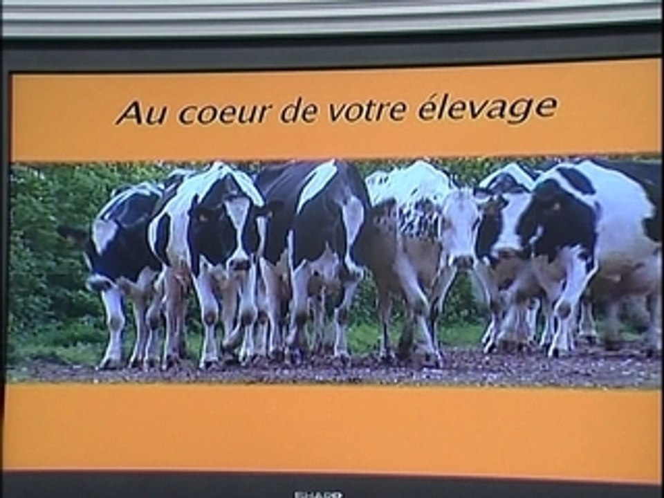 Reportage Bretagne CL-partenaire National Holstein 2009