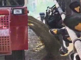 Unicopa-partenaire National Holstein 2009