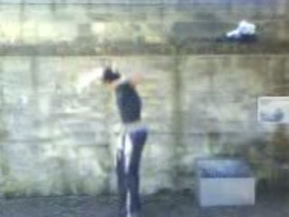 Geco, saut de muraille