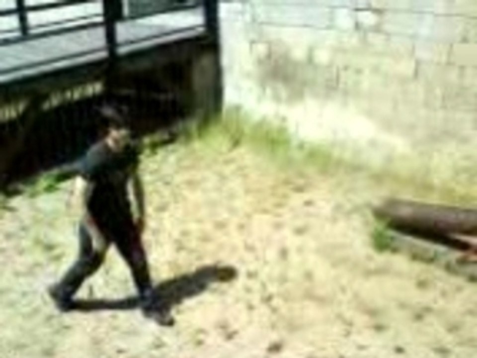 Geco, saut de muraille 3