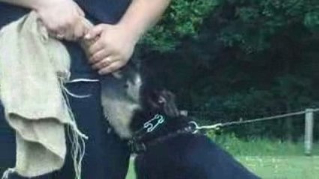 Evolet vom Sieben-Teufelsturm