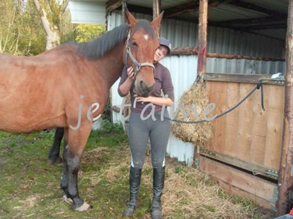 Mamour 1_0001