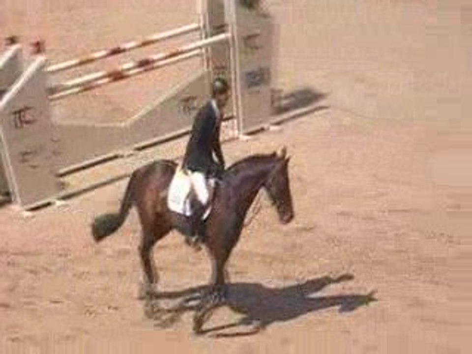 CSI Bourg en Bresse 2009 F-Sloothaak_Nouma d'Auzay