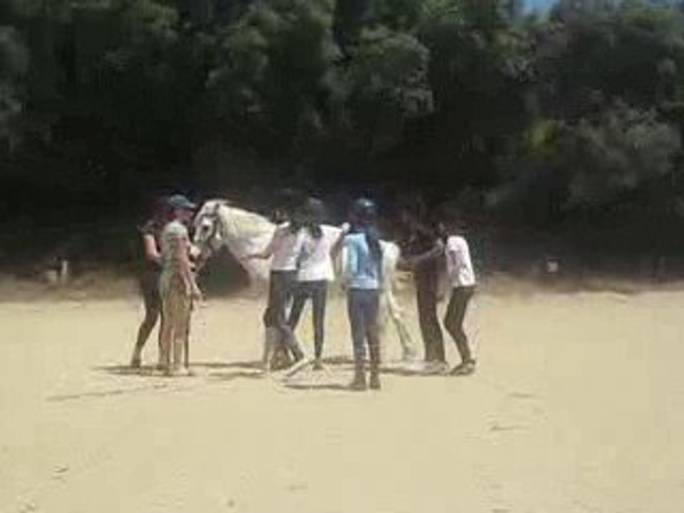 EMMA ET SARAH EN VOLTIGE