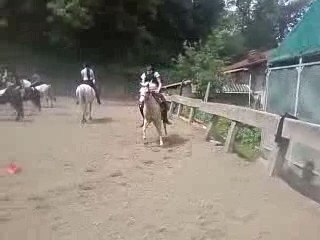 Flambo au galop avec moi