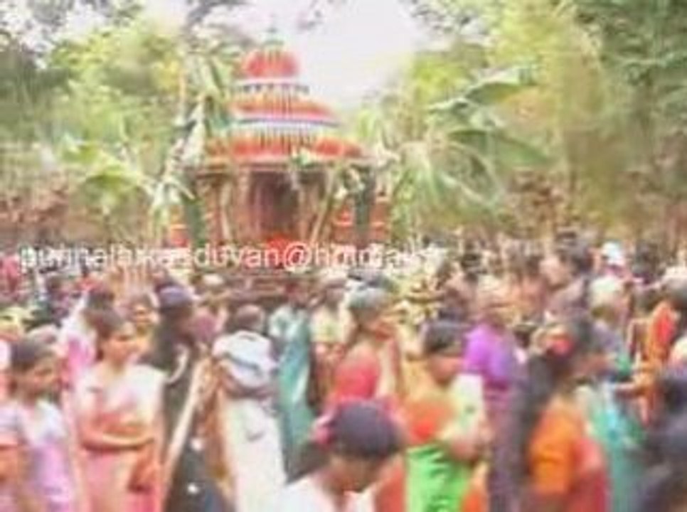 தேர்ர் திருவிழா விடியோ 2008 part 6 (punnalaikadduvan)