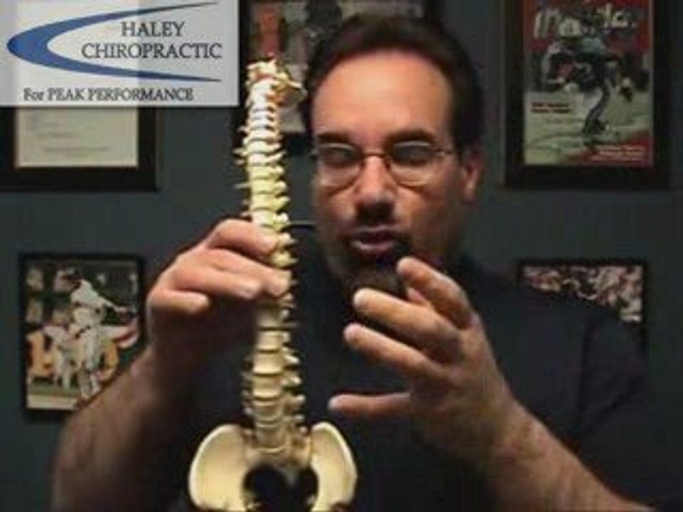 Lyndhurst Chiropractor - NJ – Dr. Haley - Back Pain Relief