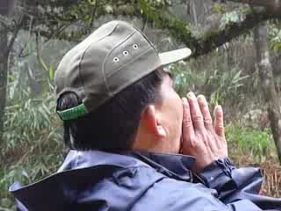 Vietnam, Parc Bach Ma imitation d'oiseau