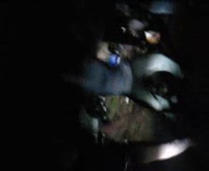 Titchio et mimo ki danse