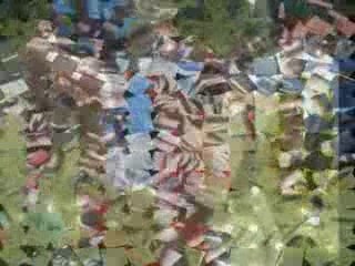 40 ans école de rugby