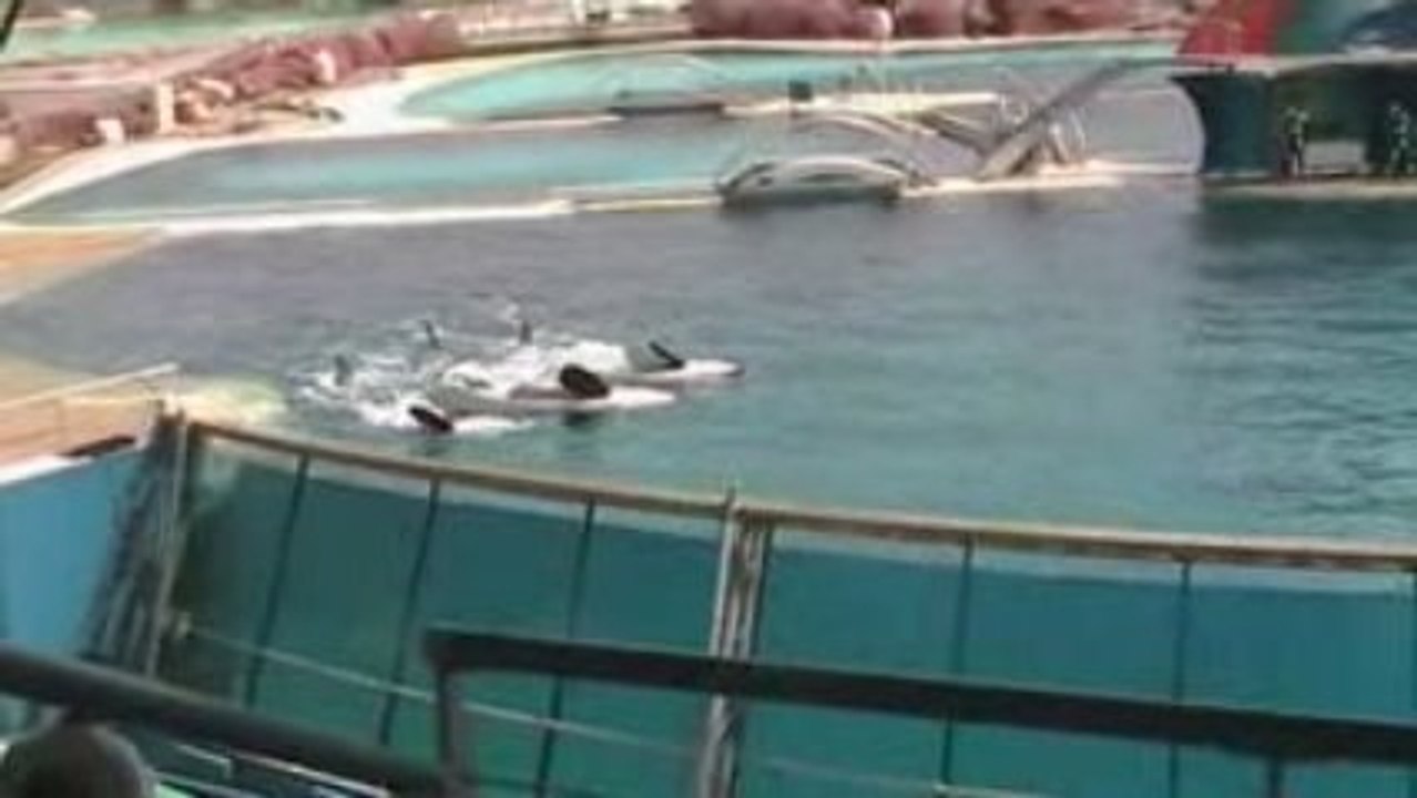 une journée a marineland en companies de mas amies lol