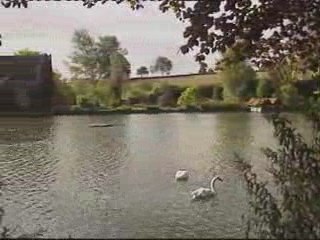 Central and Crossroads 1990