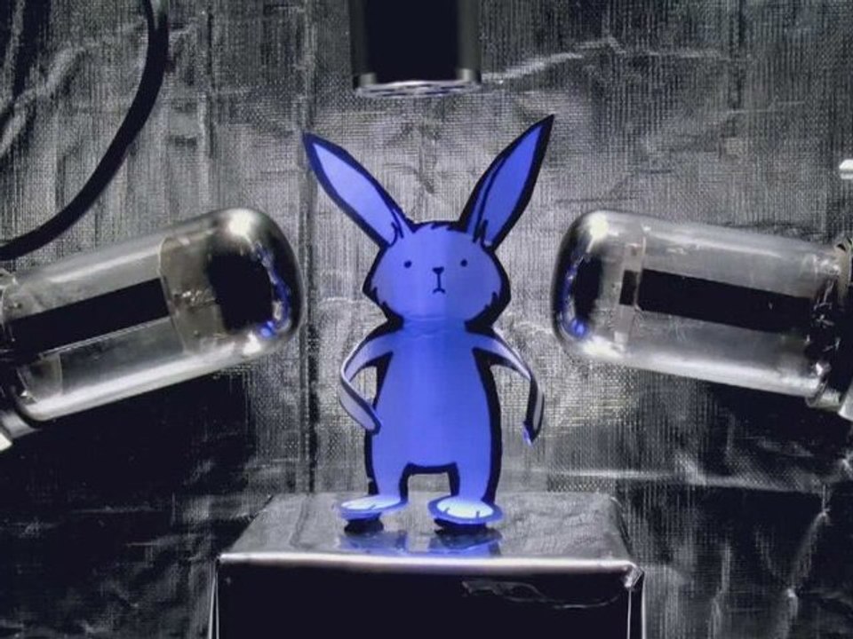 The Last Rabbit