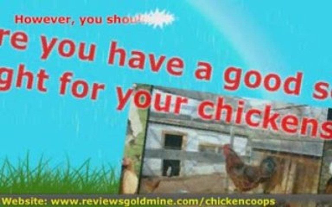 Building Chicken Coops