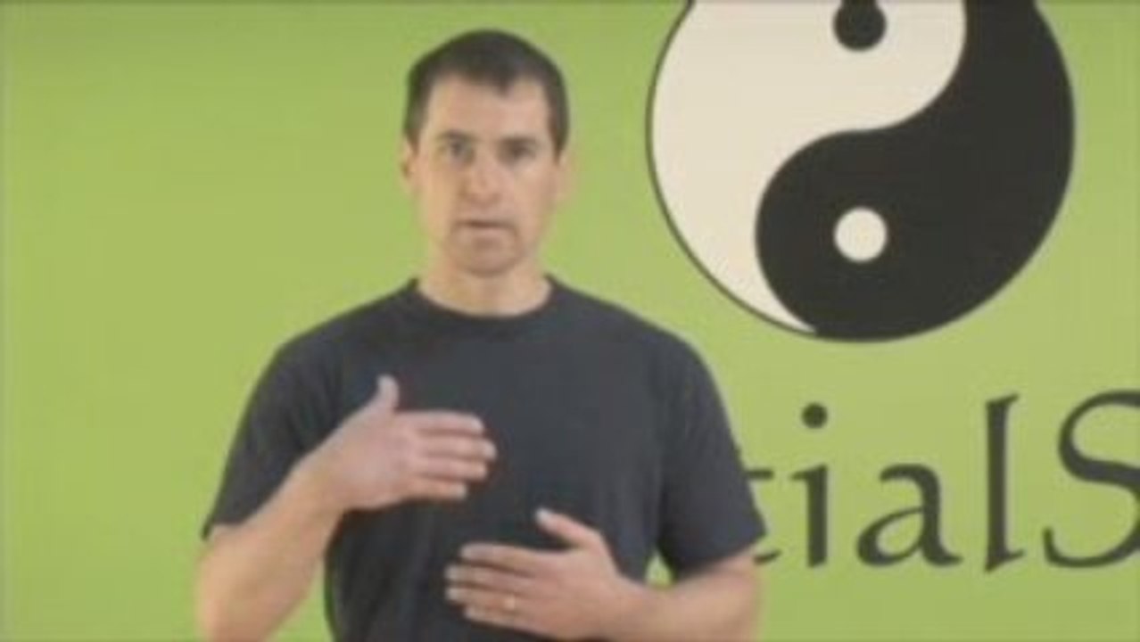 Introduction to MartialSkill - 7 Star Mantis Kung Fu Videos