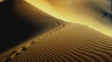 Voyage Desert