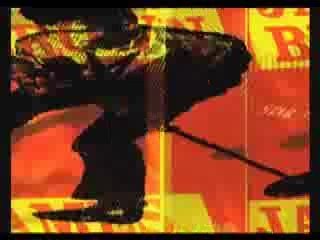 VISUAL IDOLS / JAMES BROWN