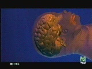 Plasticidad cerebral y genetica