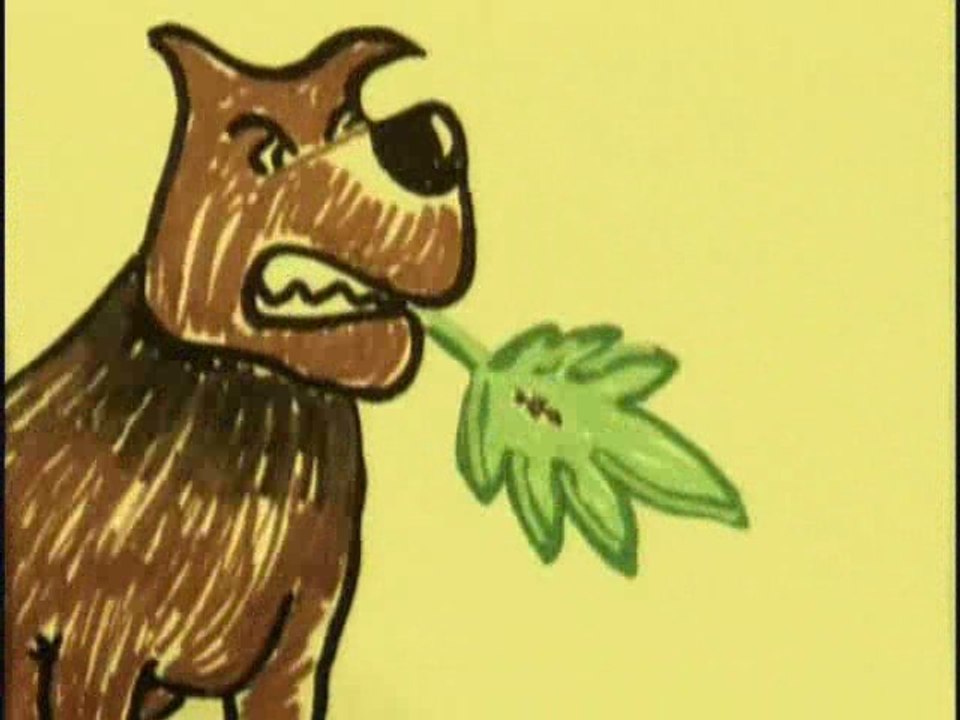 Le Peuple de l'Herbe - PH Theme