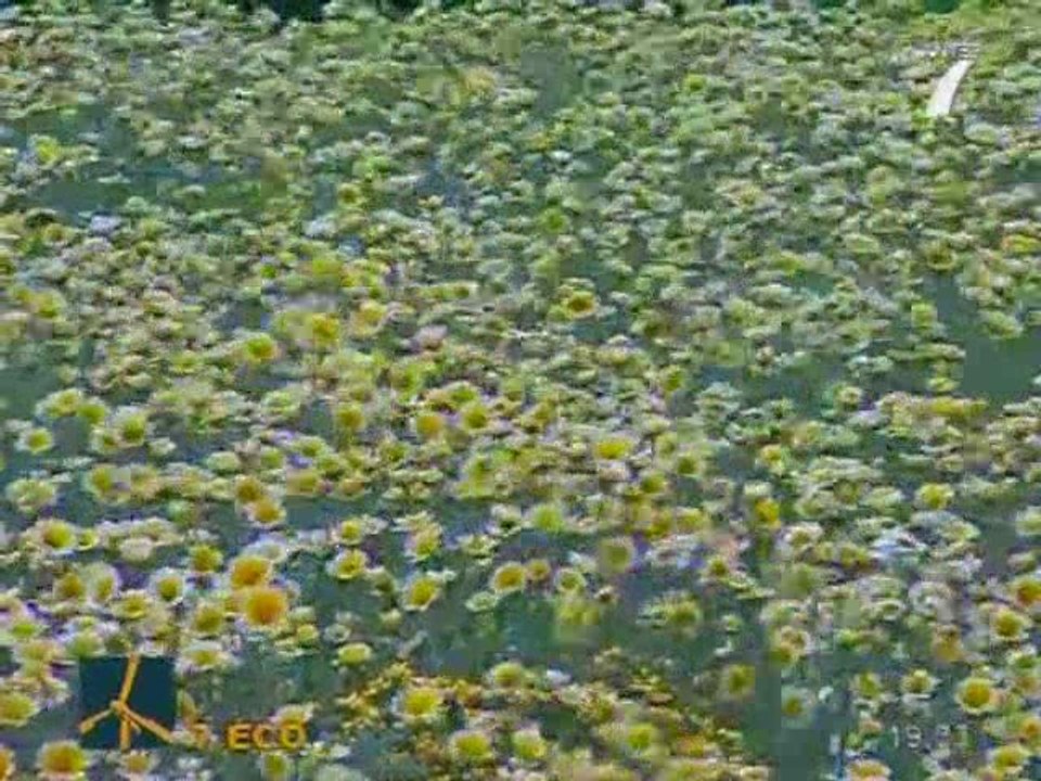 EcoTourisme : Quand luxe rime avec ecologie