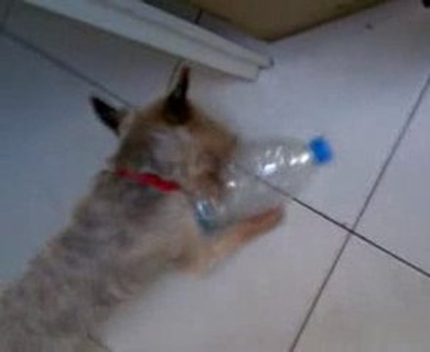 Arnold et la méchante bouteille