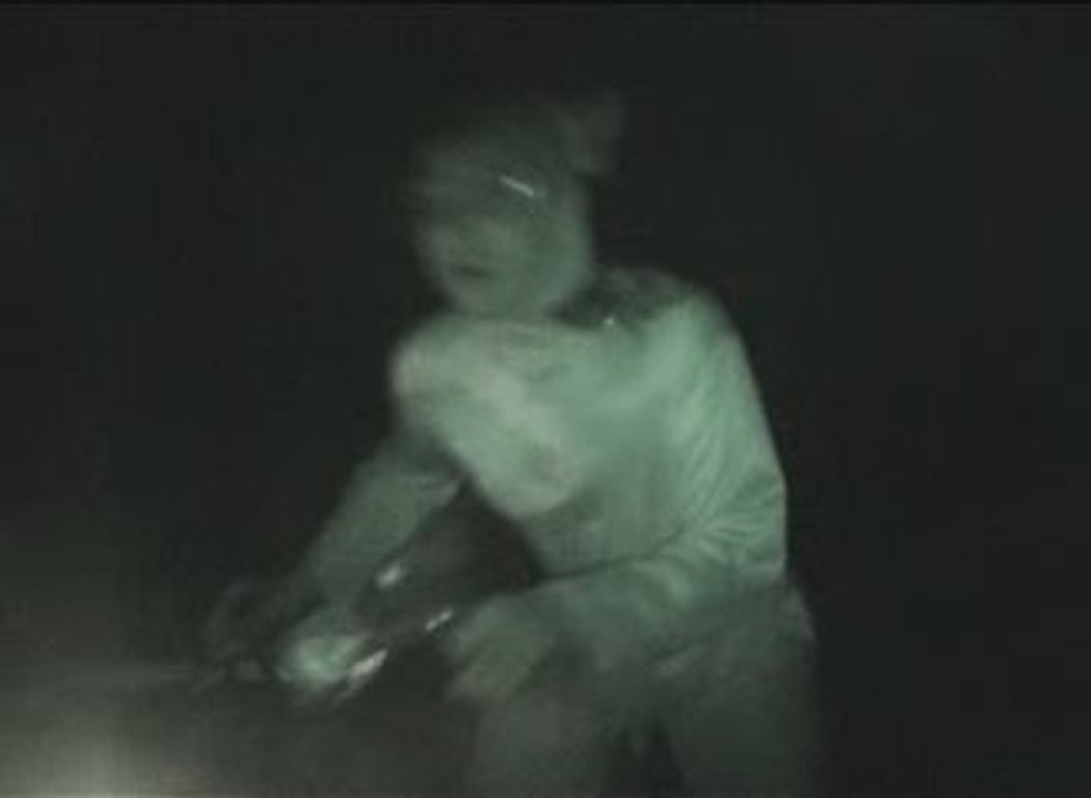 Une vache en solex