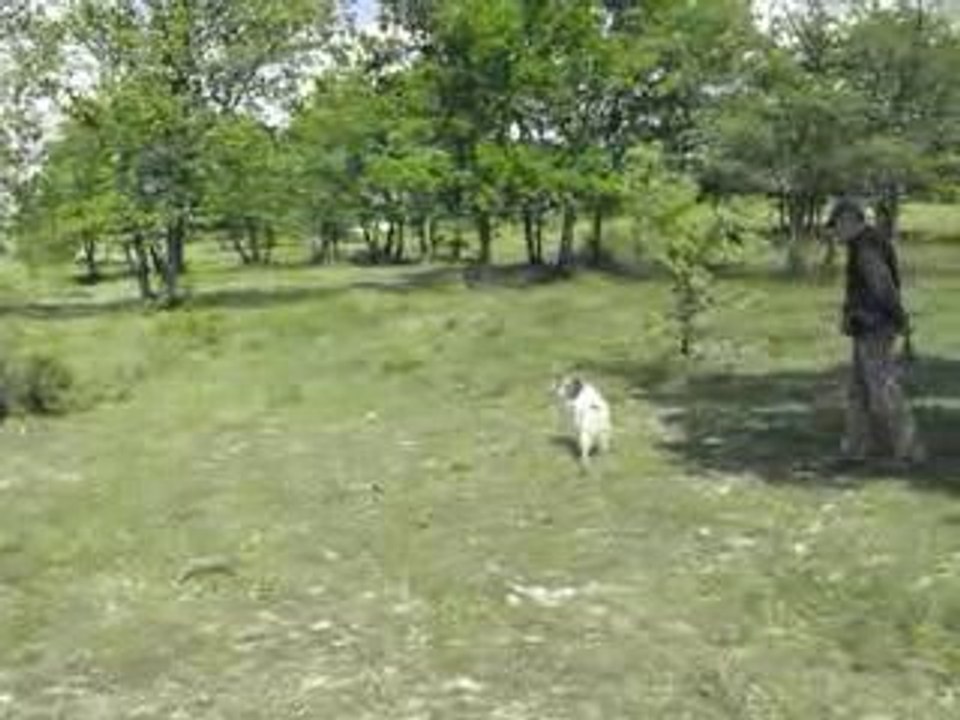 Danton_5