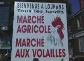Le marché de Louhans