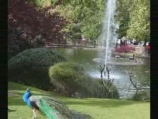 Cumpliendo Sueños Visita y Liderazgo en Asturias