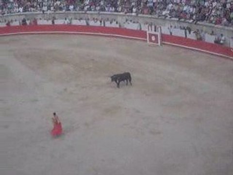 Féria de Pentecôte: 1er Juin 2009 Corrida Sébastien Castella