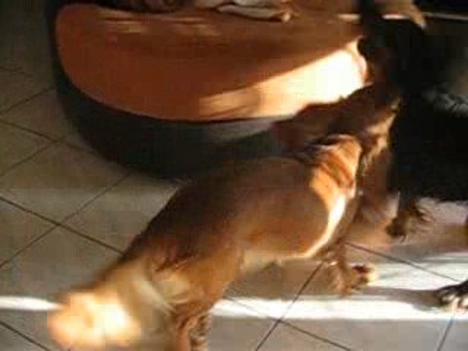 Cléo et Dévika joue