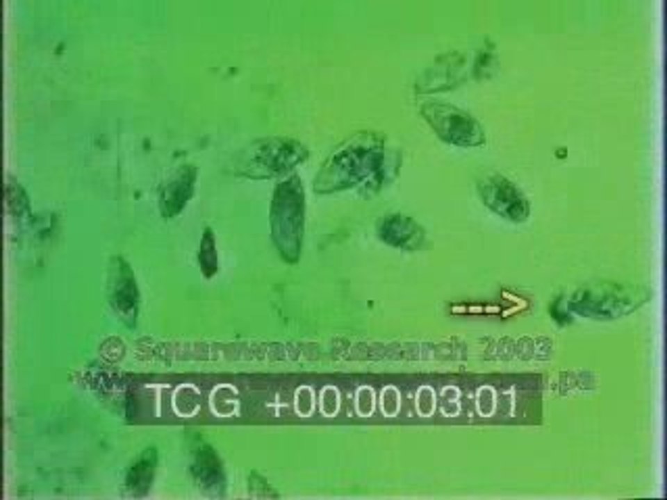 SALTO NEL VUOTO - ( Uscirne Quando CONSAPEVOLI ) - PARTE 6