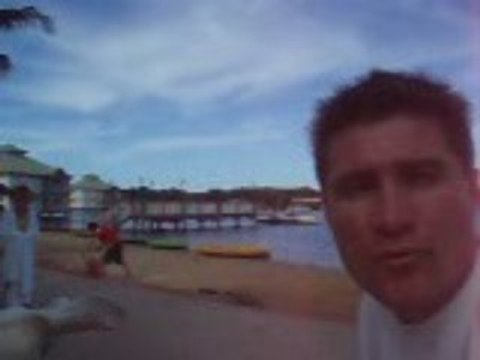 Home Based Business Opportunities