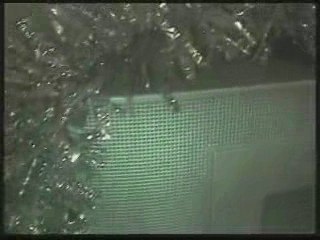 PODRIM Court 005 : Jingle Bells & Hairy Christmas