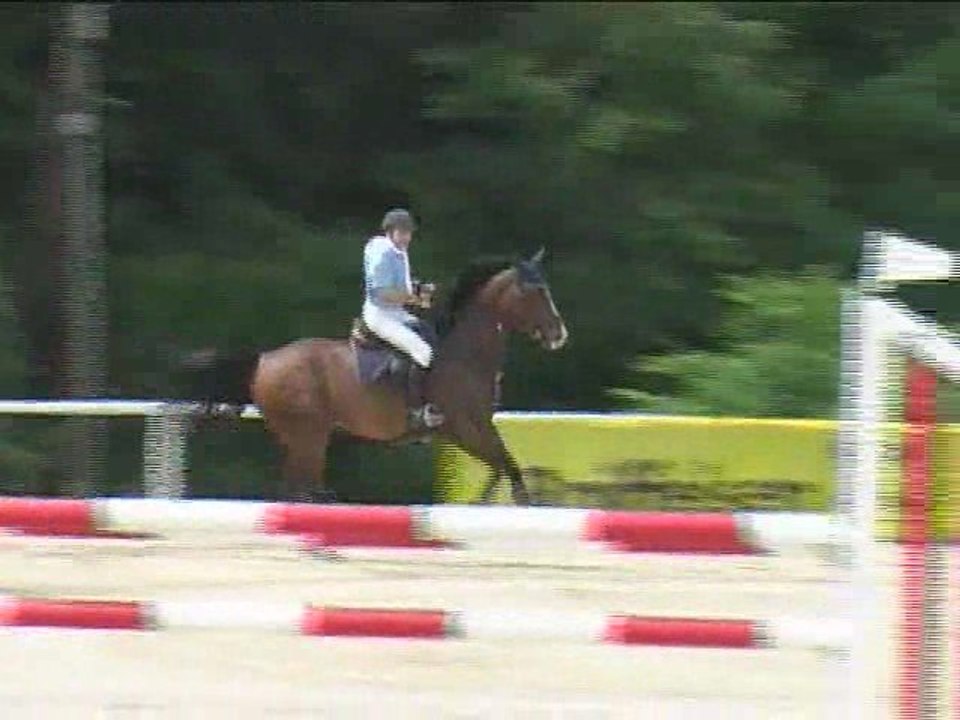 Andreas Sirninger, Springreiten, Laab im Walde (2008-086)