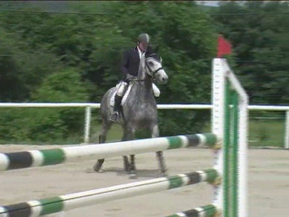 Walter Schellenbauer, Springreiten, Laab im Walde (2008-087)