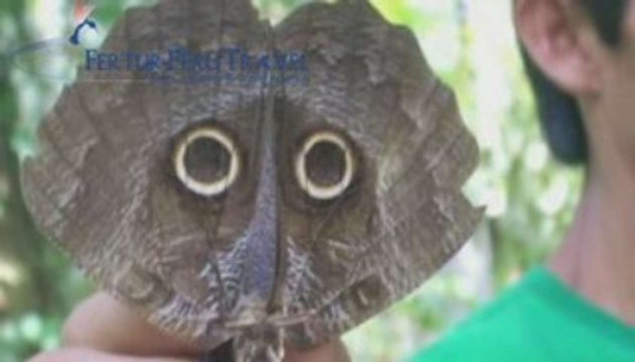 Iquitos Tours - A trip to the Explornapo natural reserve