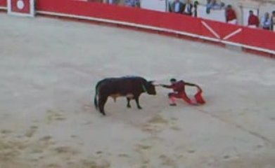 Combat de Rafaelillo face au 5e Miura