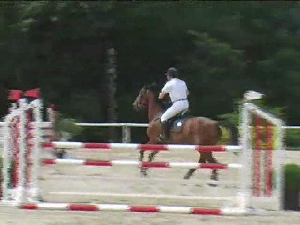 Andreas Christian Salusek, Springreiten, Laab (2008-092)