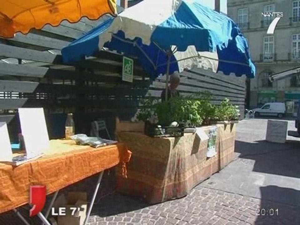Nantes : Quand les oiseaux se mettent à la guitare...
