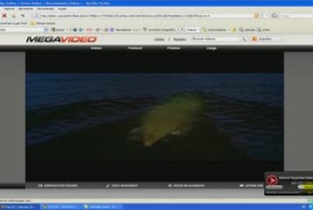 Como ver peliculas de magavideo completas con firefox