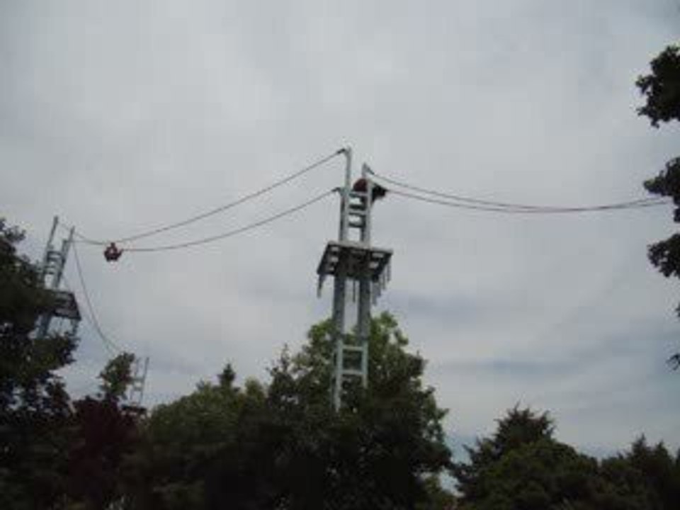 Deux Orangs Outan se pourchassant