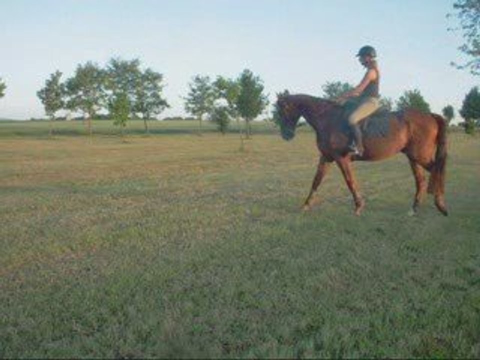 Carrière en herbe 4 juin09